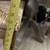 Small 36" Kitchen / Dinning Table and (2) Chairs 15 thumbnail