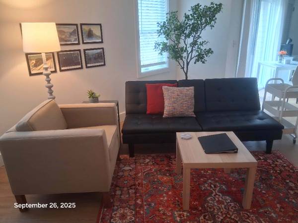 $1564.00 / 1br - 632ft2 - New FURNISHED Accessible 1 BR 1 Bath Ground Flr Apt Near Public Librar63977273057922121