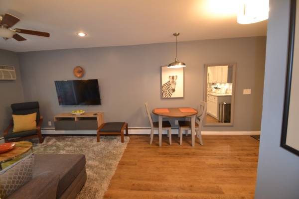 $1,295 / 1br - 600ft2 - R-8 FURNISHED 1 BR Apartment Central City (Cincinnati)63974472418563122
