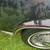1978 Oldsmobile 98 for sale or maybe Trade 6 thumbnail