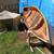Cedar strip canoe 1 thumbnail