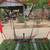 softball equipment 4 thumbnail