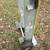 ​Aluminum Hand Truck/Appliance Dolly - 800lb Capacity 10 thumbnail