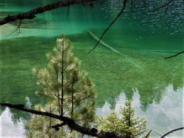 $499,900 / 87120ft2 - PENDING!!  One of Emerald Lakes' Best Lots! (Seeley Lake)64287769620994122