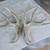 Deer Antlers 1 thumbnail
