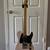Squire telecaster 1 thumbnail