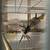 Cockatiels 3 thumbnail