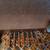 TECHNICS SX-GA1 Electronic Organ. Deluxe G-Series MIDI Dual-keyboard 13 thumbnail