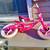 Sun Bicycles Lil Kitt'n  12" Balance Bike, Fits Riders 3'1" - 3'5", 5 thumbnail