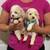 Mini poodle 3 thumbnail