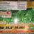 Holiday Bright Lights LED Commercial Grade 3 thumbnail