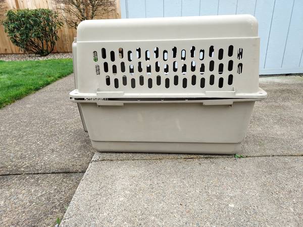dog crate 1
