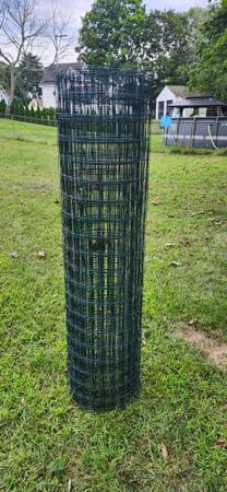 Wire Fence and Posts 1