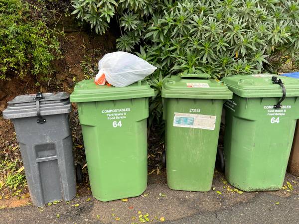 Used Christmas lights - white 1