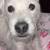 Dog 4 thumbnail