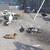 Turkey and ducks 3 thumbnail
