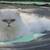 Silver persians 2 thumbnail