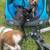 House Sitter/Pet Sitter/DogWalker (Optional Room avail in x for svces) 6 thumbnail