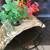 Aquarium / Turtle / Fish Tank Small to Medium 3 thumbnail