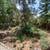 Bend's desirable Tanglewood neighborhood! 22 thumbnail