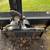FFC 72" Skid Steer Loader Snow Blower Attachment 2 thumbnail