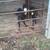 Beef bottle calves 2 thumbnail