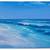 Large Florida Scene Signed Oil Painting 53 X 41" 7 thumbnail