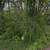 Vacant Land- Lake Villa-BUILDABLE Homesite Near Lake-Reduced Price 2 thumbnail