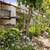 Cats and dogs welcome, BBQ Picnic Areas, Studio 2 thumbnail