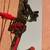 PSE EVO MAX Compound Bow 1 thumbnail