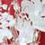 NEW Wedding Cake Topper Crystal Swans Elegant Gold Gild 3 thumbnail