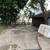 Huge townhouse for rent 4 thumbnail