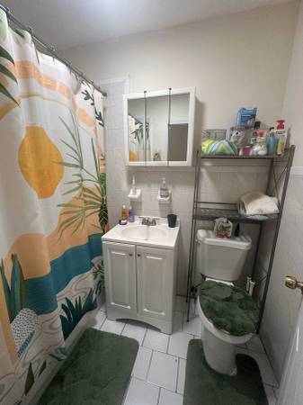 $800 / 80ft2 - Cozy Bedroom in Large Park Slope 2 Bedroom Apartment for November (Park Slope)63850121407107123