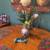 Gorgeous  Private Room to rent in central PEARLAND 13 thumbnail