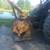 3 point hitch winch 5 thumbnail