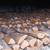 Dry Oak Firewood 2 thumbnail