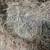 Quality Square Bale Hay for SALE 1 thumbnail