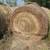 Hay Prairie Round Net Wrapped Bales $85.each bale... Put up dry. 1 thumbnail