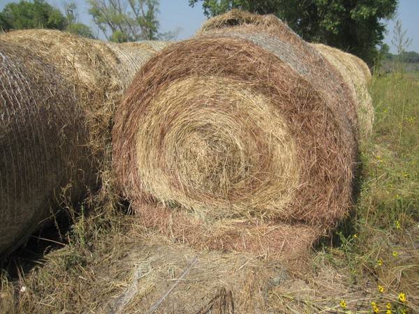 Hay Prairie Round Net Wrapped Bales $85.each bale... Put up dry. 1
