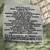 ELLE DECOR Spring Green Textured Cozy Throw NEW 7 thumbnail