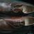 Men's shoes Banana Republic Digby Brogue - BROWN - size 9M 4 thumbnail