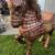 SERGIO BUSTAMANTE BRASS/COPPER HUGE HORSE 4 thumbnail