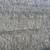 Orchard grass 4 thumbnail