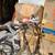 Small Specialized Expedition in rideable condition 4 thumbnail