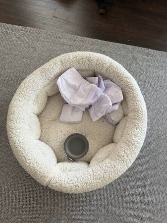 Pet Starter Kit – Dog/Cat Bed + Portable Bowl + Pads 1