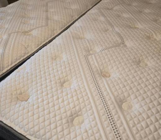 Twin Mattress 1