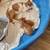Exotic shorthair 12 thumbnail