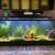 75 Gallon Fish Tank 2 thumbnail