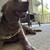 Foster/Adoption Needed — Well-Trained Lab/Pitbull Mixed in Bay Area 10 thumbnail