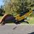 2014 Yanmar VIO20 Hydraulic Excavator w/Hydraulic Thumb / 2x BUCKETS 12 thumbnail